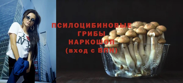 соль курить ск Арсеньев