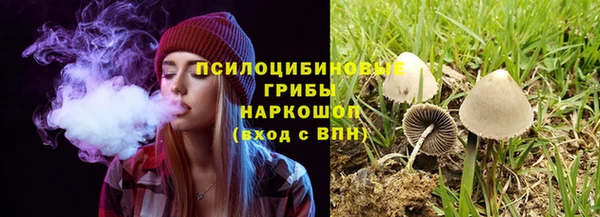 сатива Армянск