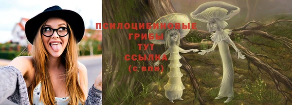 сатива Армянск