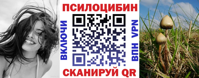 наркотики Пудож Галлюциногенные грибы Psilocybine cubensis