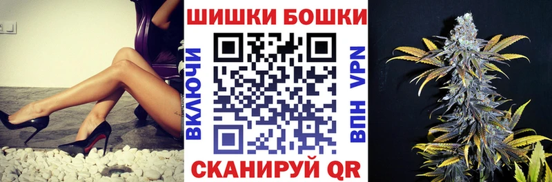 где можно купить наркотик  Пудож  МАРИХУАНА сатива 